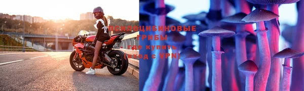 бошки Богданович