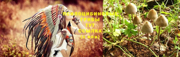 бошки Богданович