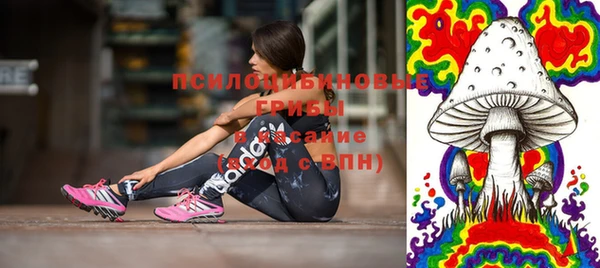 бошки Богданович